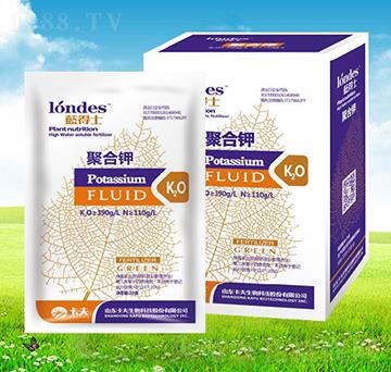 20���{��ʿ�ۺ��-����