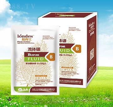 20���{��ʿ���w��-����