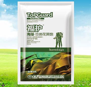 ���嶹��v�-���o-����