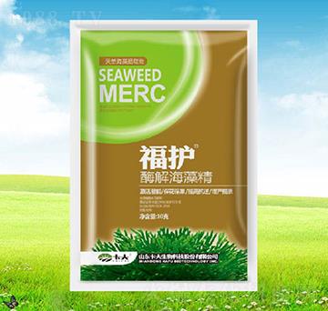 ø�⺣�徫-���o-����