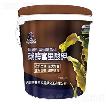 ̼ø�������-���ϻ���