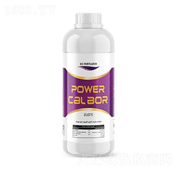 Power CalBor-�ָ���