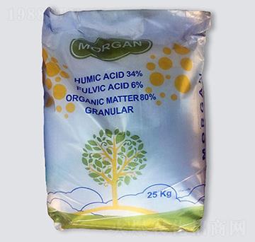 Morgan ��ֳ���w������-�ָ���