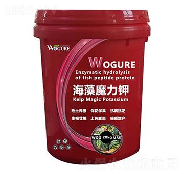 海藻魔力鉀-沃格瑞