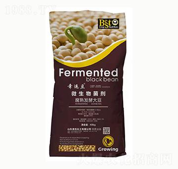 微生物菌劑-幸運(yùn)豆-唐氏化工