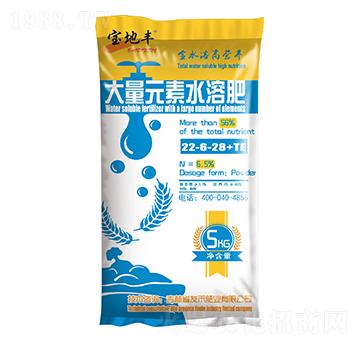 大量元素水溶肥料22-6-28+TE-寶地豐-友禾肥業(yè)