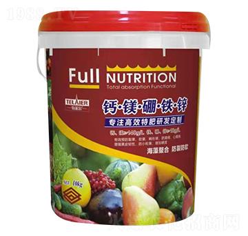 �}�V���F�\-ؐ�Z