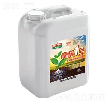 Ħ��1̖(h��o)-ؐ�Z