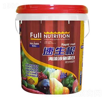 ����������Һ�~����-ؐ�Z