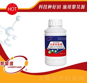 淡紫擬青霉-黎昊源