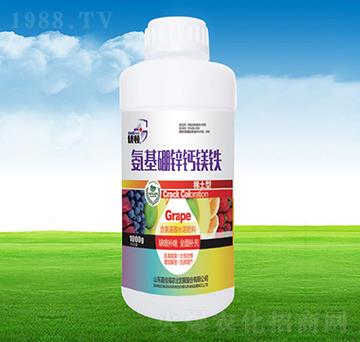 �������\�}�V�F-�μѸ�