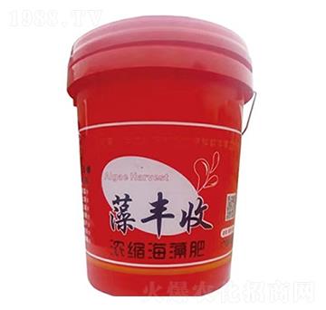 葉菜類專用濃縮海藻肥-藻豐收-民強(qiáng)生物