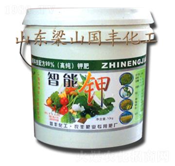 �����-���S�ʘI(y��)