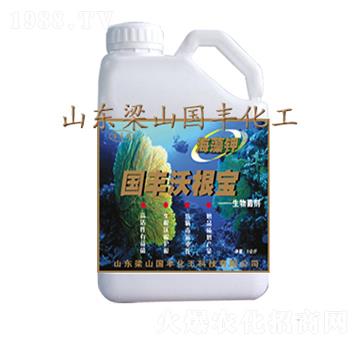 5kg國豐沃根寶-國豐肥業(yè)