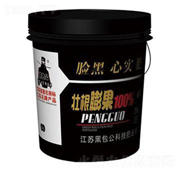 壯根膨果-黑包公