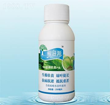 根滋源-藍(lán)翠農(nóng)科