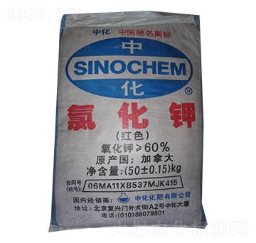 �Ȼ��-���