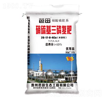 ��������׏�(f��)��-����