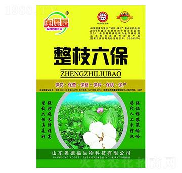 整枝六保-奧德福