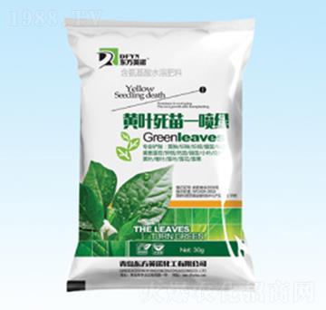 黃葉死苗一噴綠-東方英諾