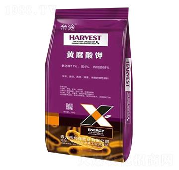 �S�����-��;