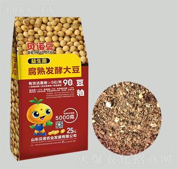 ����������l(f��)�ʹ�-ؐ�Z��-ؐ�Z