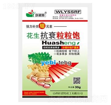 ������˥�����-�~����