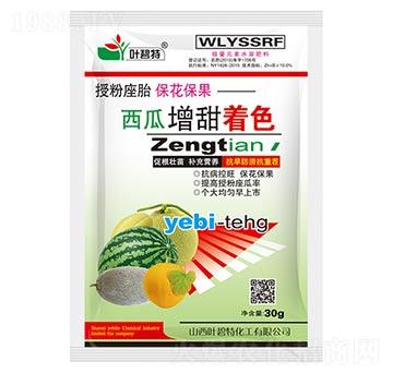 ����������ɫ-�~����