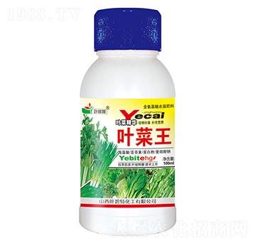 �~����-�~����