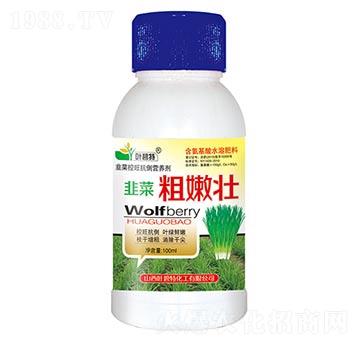 �²˴��ۉ�-�~����