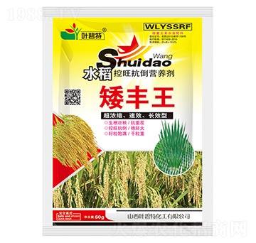 ˮ�����S��-�~����