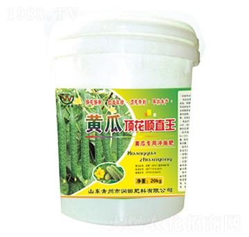 黃瓜頂花順直王-潤田肥料