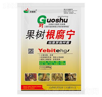 ���������-�~����