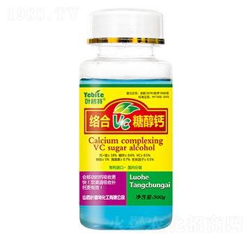 �Ǵ��}-�~����