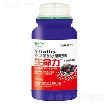 ��÷���ú�������ˮ�ܷ���-������-�~����