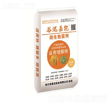 水稻返青增蘗快-微生物菌劑-君龍實業(yè)