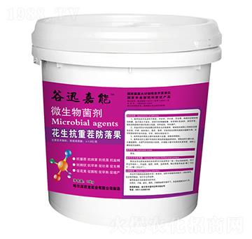 花生抗重茬防落果-微生物菌劑-君龍實(shí)業(yè)
