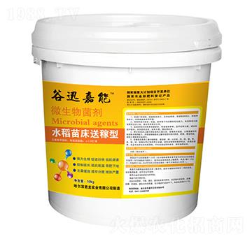 水稻苗床送稼型-微生物菌劑-君龍實(shí)業(yè)