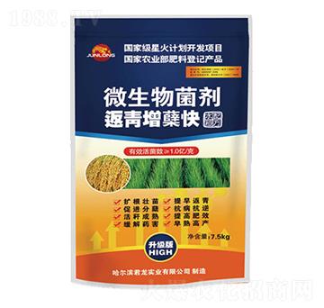 微生物菌劑-返青增蘗快（水稻配方）-君龍實(shí)業(yè)