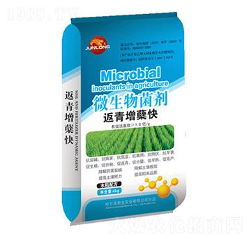 4kg微生物菌劑-返青增蘗快（水稻配方）-君龍實(shí)業(yè)