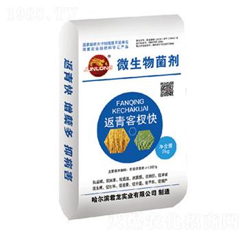 微生物菌劑-返青客杈快（水稻配方）-君龍實(shí)業(yè)