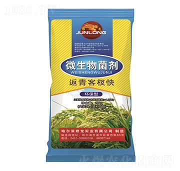 20kg微生物菌劑-返青客杈快（水稻配方）-君龍實業(yè)
