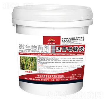 10kg微生物菌劑-返青增蘗快（水稻配方）-君龍實(shí)業(yè)