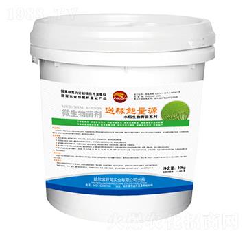 微生物菌劑-水稻（苗床）送稼能量源-君龍實(shí)業(yè)