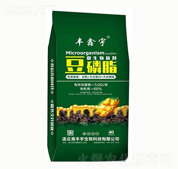 豆磷脂微生物菌劑-豐鑫宇-豐宇生物