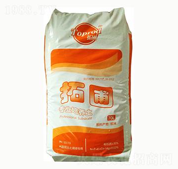 �߲˟o(w��)����������-����-���ȶ�