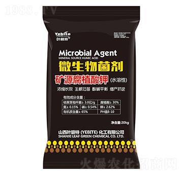 �VԴ��ֲ��-�~����