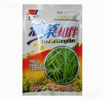 油菜相伴-土力肥業(yè)