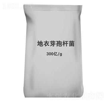 ����ѿ�ߗU��-�������