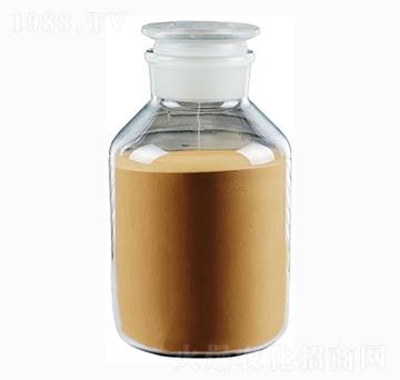 �V�V��(f��)�Ͼ���-�������